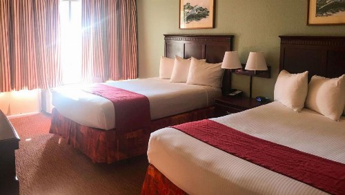 Magnuson Hotel & Marina New Port Richey - image 10