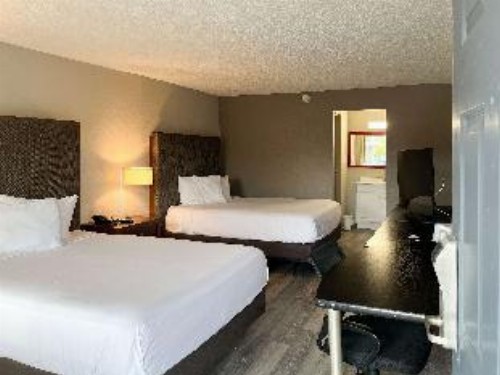 OYO Hotel New Port Richey Gulf Beach US-19 - image 2
