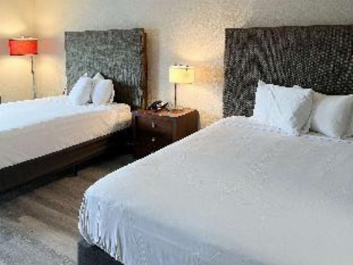 OYO Hotel New Port Richey Gulf Beach US-19 - image 3
