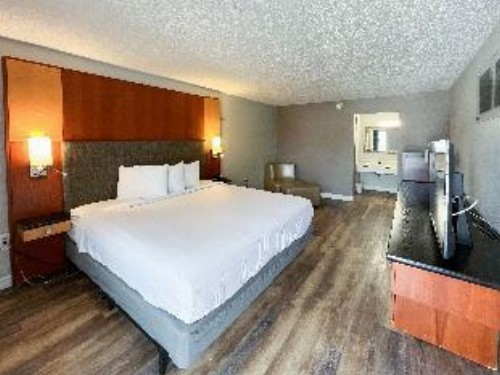 OYO Hotel New Port Richey Gulf Beach US-19 - image 4