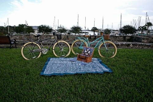 Anchor Inn NSB Bed and Breakfast - image 36