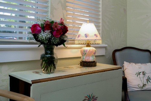 Anchor Inn NSB Bed and Breakfast - image 7