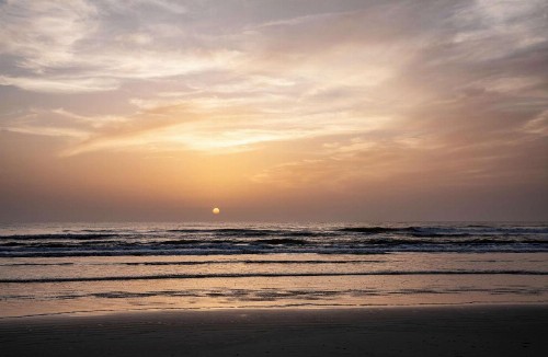 Best Western New Smyrna Beach Hotel & Suites - image 40