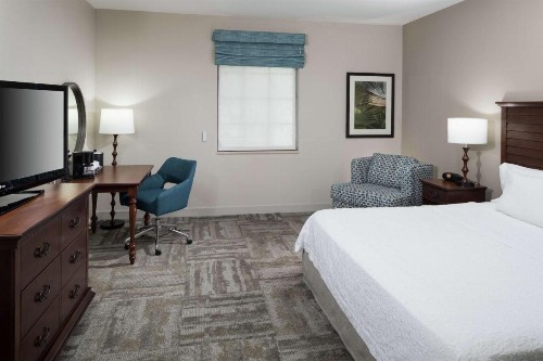 Hampton Inn New Smyrna Beach - image 41