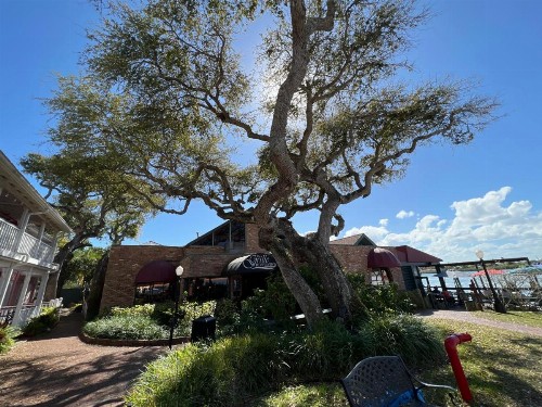 The Riverview Hotel - New Smyrna Beach - image 9