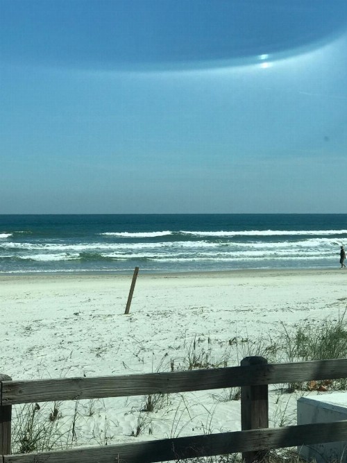 Paradise In New Smyrna Beach Florida - image 27