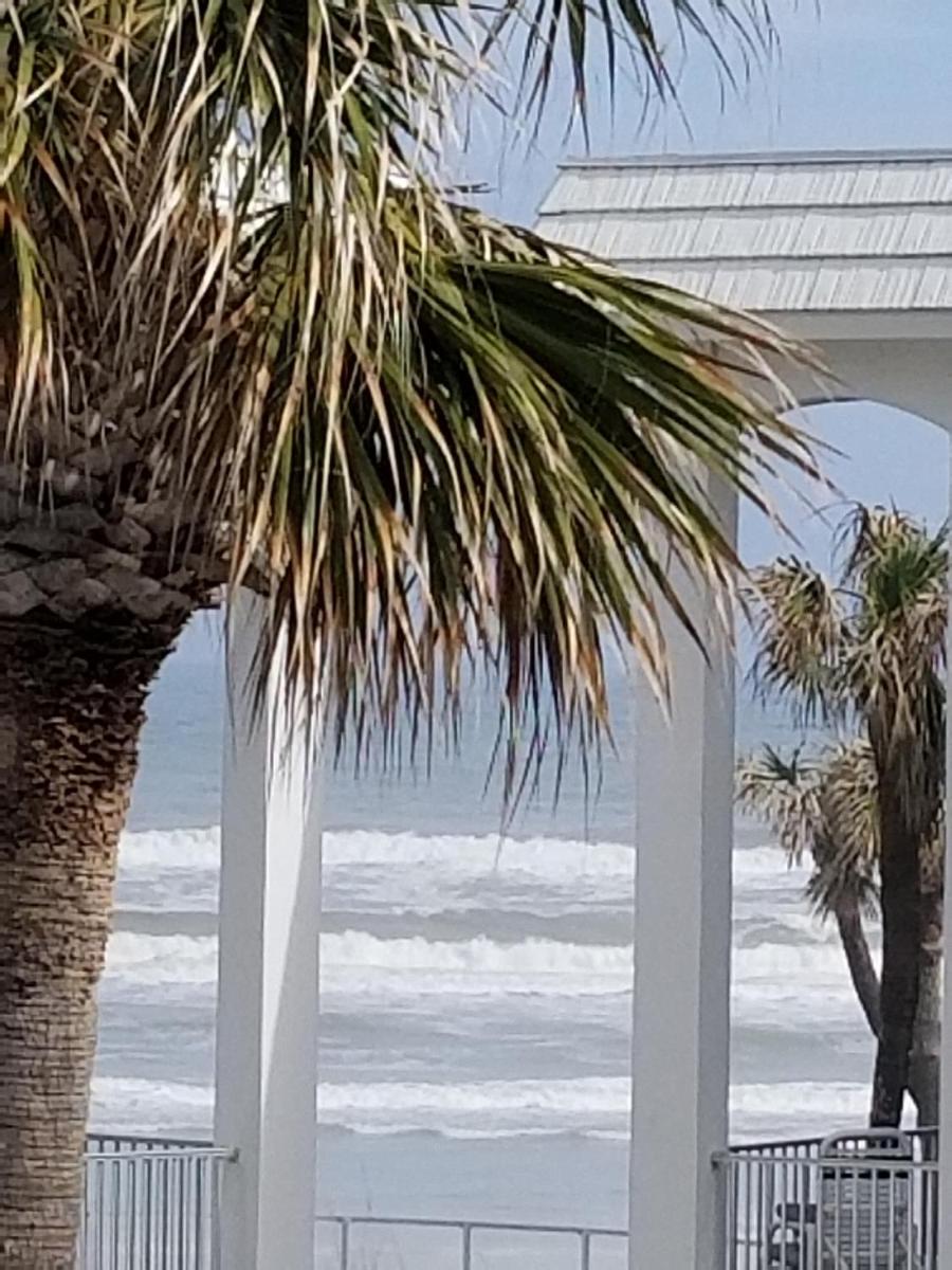 Paradise In New Smyrna Beach Florida - image 4