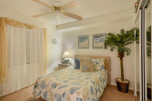 Sandpiper 305 by Ocean Properties - image 5
