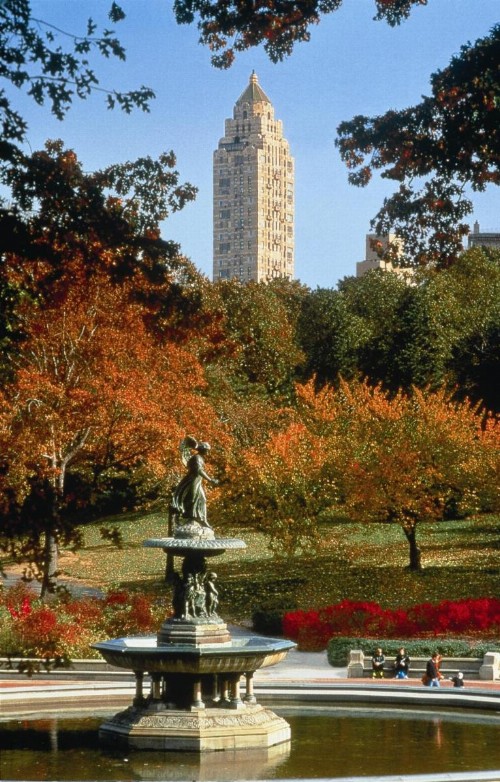 The Carlyle A Rosewood Hotel - image 23