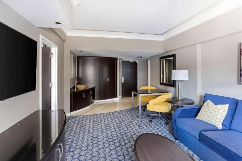 Hilton Club New York - image 7