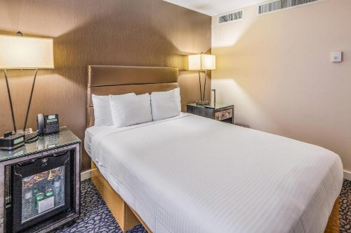 The Carvi Hotel New York Ascend Hotel Collection - image 18