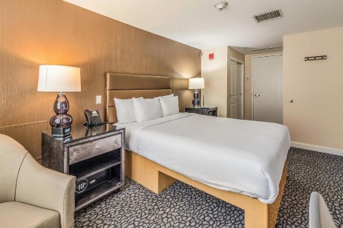 The Carvi Hotel New York Ascend Hotel Collection - image 24