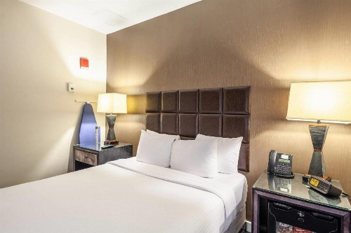 The Carvi Hotel New York Ascend Hotel Collection - image 27