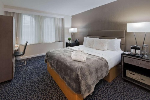 The Carvi Hotel New York Ascend Hotel Collection - image 8