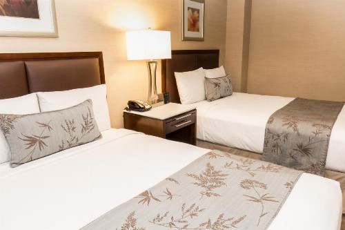 The Belvedere Hotel - image 10
