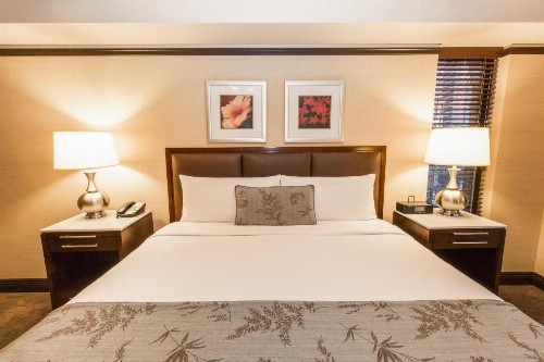 The Belvedere Hotel - image 34