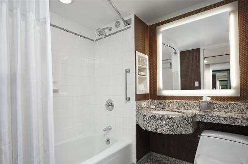 New York Hilton Midtown - image 39
