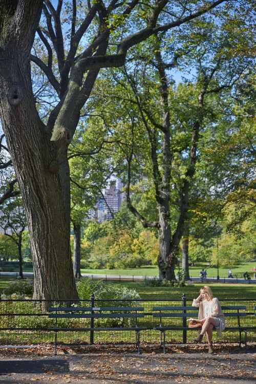 Gardens Suites Hotel by Affinia - image 9