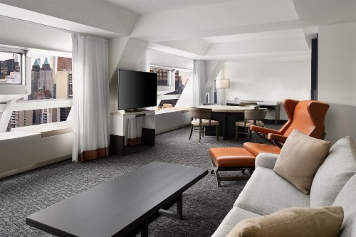 Millennium Hilton New York One UN Plaza - image 13