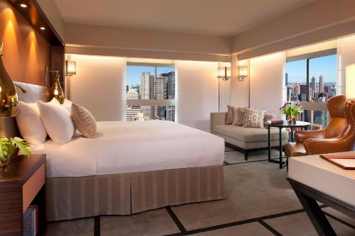 Millennium Hilton New York One UN Plaza - image 8