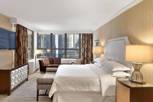Sheraton New York Times Square Hotel - image 19