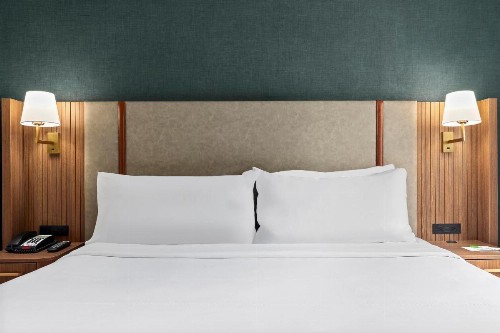 Holiday Inn Manhattan 6th Ave - Chelsea an IHG Hotel - image 19