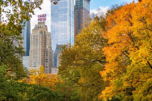 JW Marriott Essex House New York - image 44