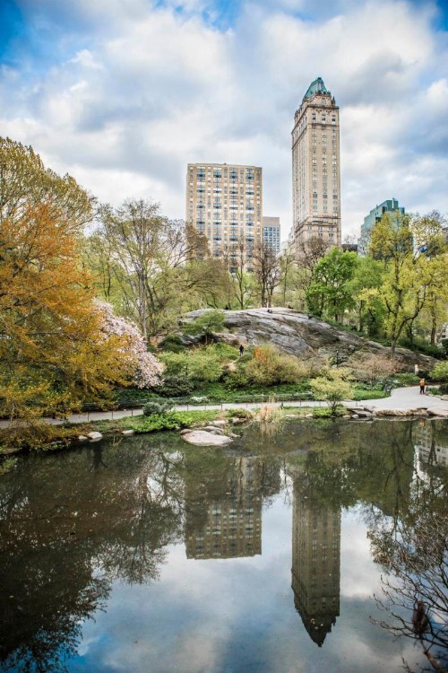 The Pierre A Taj Hotel New York - image 42