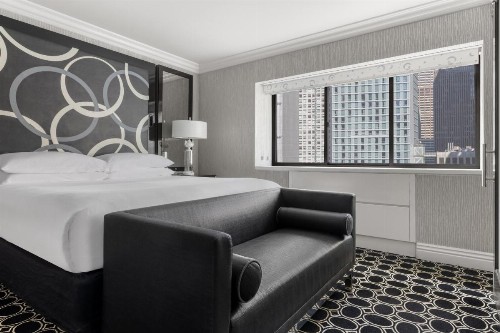 The Kimpton Muse Hotel an IHG Hotel - image 12