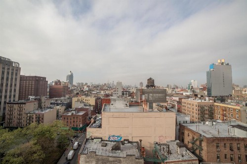Hotel Mulberry - image 10