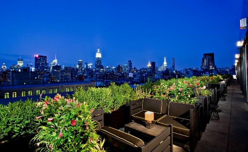 Dream Downtown - image 14