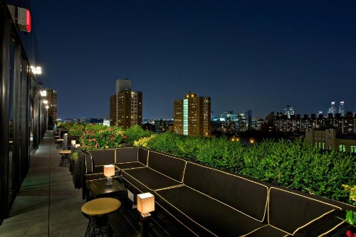 Dream Downtown - image 15