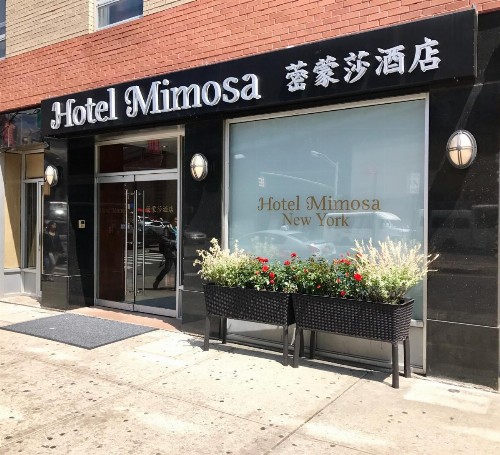 Hotel Mimosa - image 33
