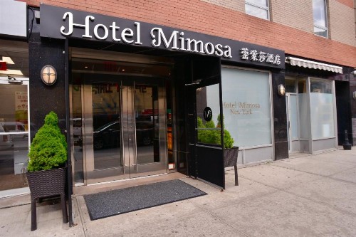 Hotel Mimosa - image 6