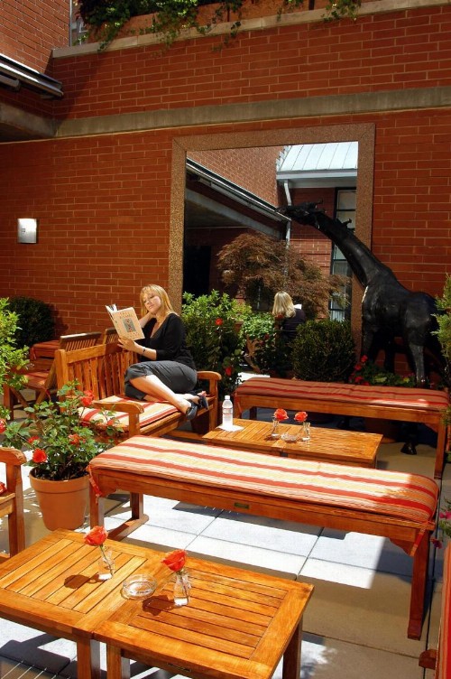 Hotel Giraffe by Library Hotel Collection - image 27