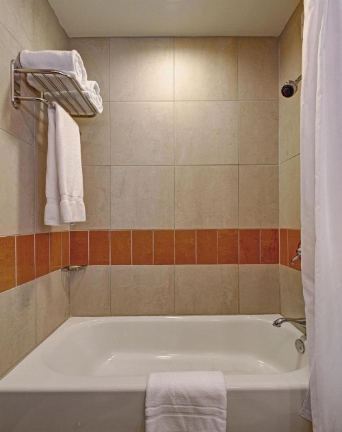 Hotel Giraffe by Library Hotel Collection - image 4