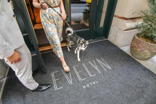 The Evelyn NoMad - image 34
