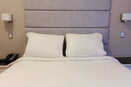 Da Vinci Hotel - image 10