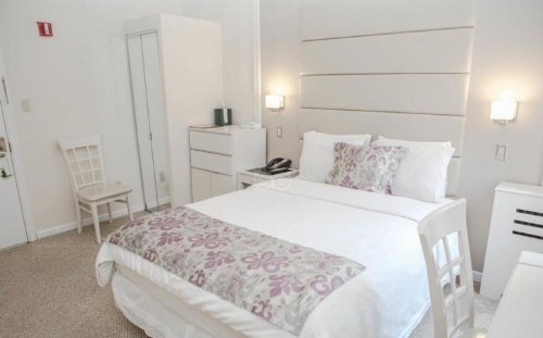 Da Vinci Hotel - image 3