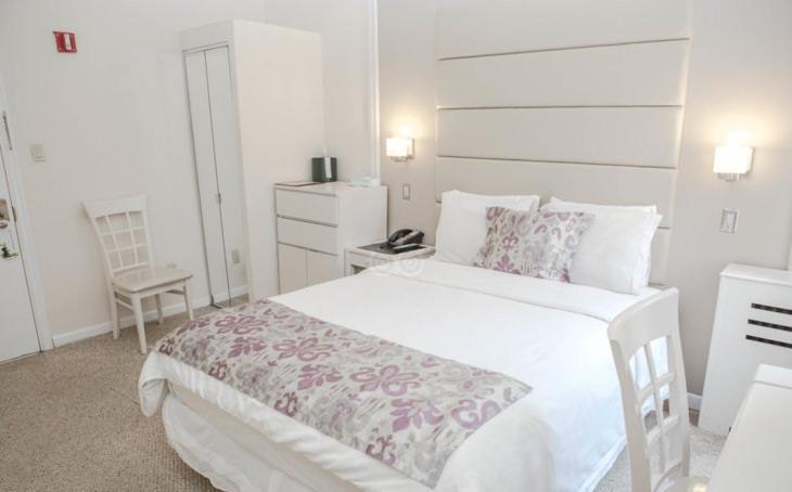 Da Vinci Hotel - image 3