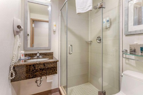 Comfort Inn Midtown West - image 11