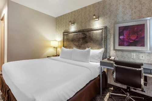 Comfort Inn Midtown West - image 15