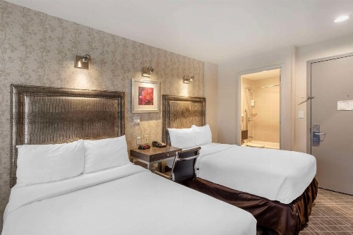 Comfort Inn Midtown West - image 17