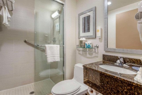 Comfort Inn Midtown West - image 18