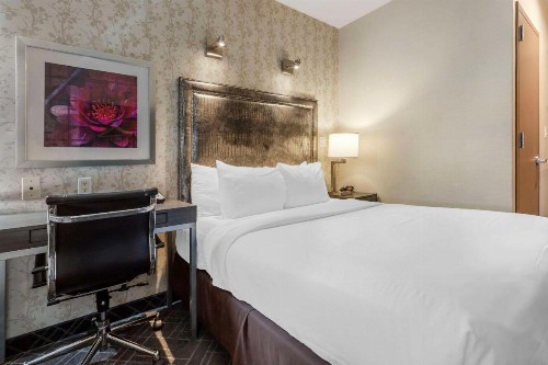 Comfort Inn Midtown West - image 25