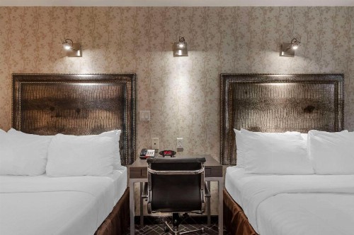 Comfort Inn Midtown West - image 5