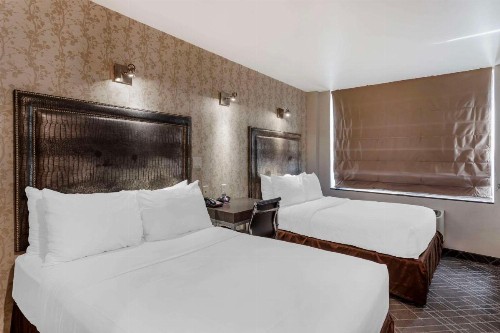 Comfort Inn Midtown West - image 8