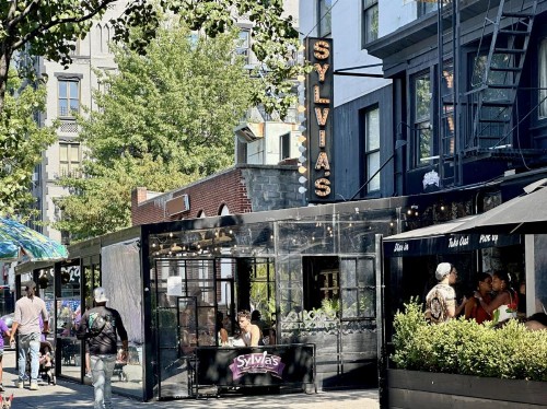 NYC Townhouse Apartment - image 27