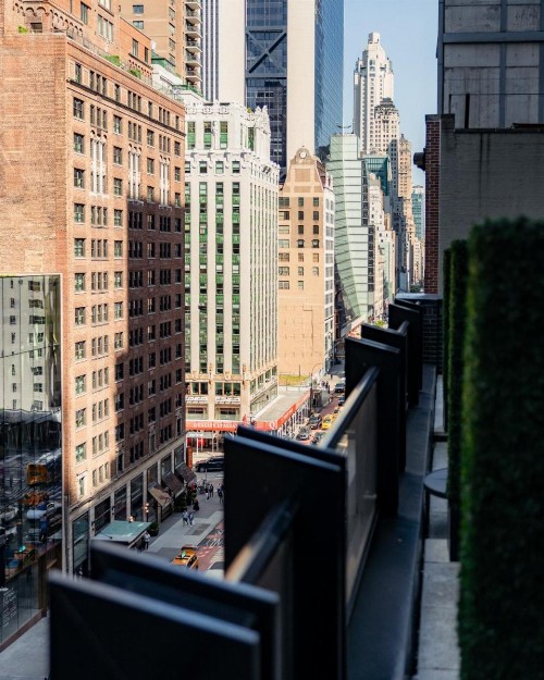 Le Meridien New York Central Park - image 11