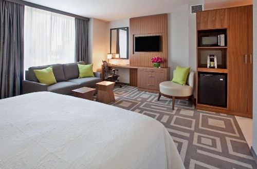 Hilton Garden Inn Central Park South - image 13